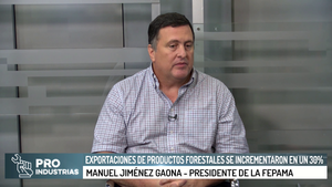 Exportaciones de productos forestales se incrementaron en un 30% - Megacadena - Diario Digital