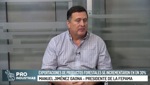 Exportaciones de productos forestales se incrementaron en un 30% - Megacadena - Diario Digital