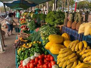 Inflación: Ante menor riesgo, BCP mantuvo tasa su referencial - Economía - ABC Color