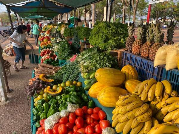 Inflación: Ante menor riesgo, BCP mantuvo tasa su referencial - Economía - ABC Color