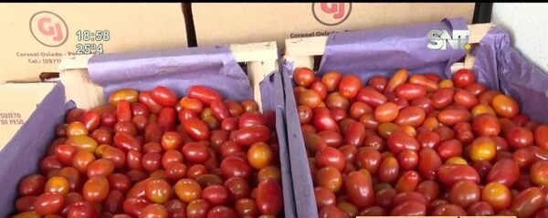 Bajó el precio del tomate - SNT