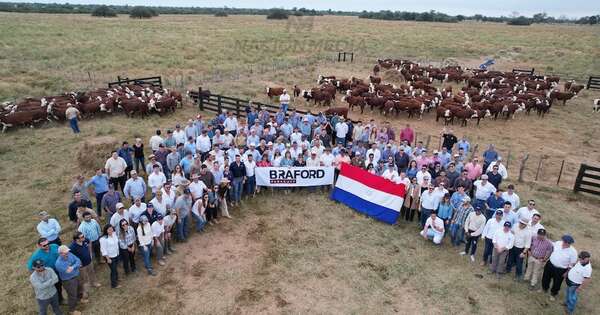 La Nación / Exitosa salida de campo braford en el Chaco duplicó expectativa
