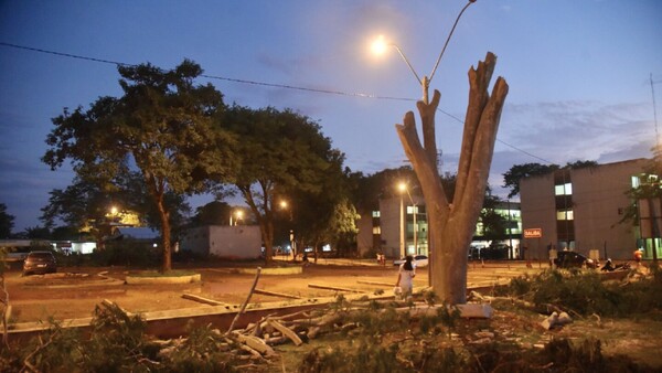Denuncian tala indiscriminada de árboles en el Nacional de Itauguá