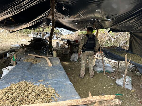 Paraguay y Brasil inician tercera operación conjunta del año contra el narcotráfico - Oasis FM 94.3