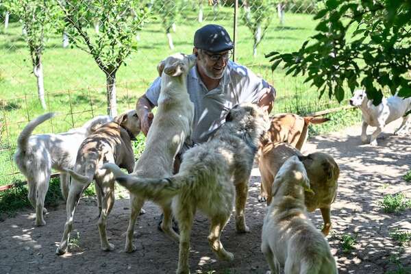 Evitá riesgos: qué buscar en una clínica veterinaria para asegurar el bienestar de tu mascota - Mascotas - ABC Color
