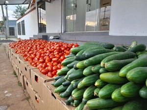 Tomates de producción nacional ya están a la venta en la Feria Municipal