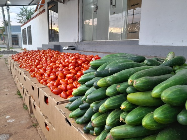 Tomates de producción nacional ya están a la venta en la Feria Municipal