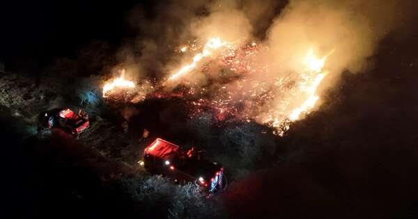 La Nación / Pantanal brasileño registró un récord de incendios forestales en junio