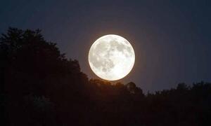 ¿Viernes al aire libre? Una luna llena más nítida y brillante iluminará esta noche – Prensa 5