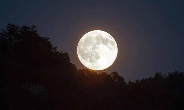 ¿Viernes al aire libre? Una luna llena más nítida y brillante iluminará esta noche – Prensa 5