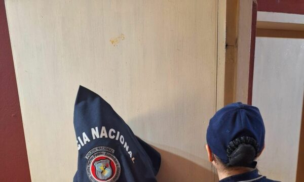 Atraparon a una “cybersomnilera” tras pelar a un Español