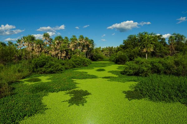 Paraguay busca despertar interés como nuevo destino turístico y de inversión en el Chaco - MarketData