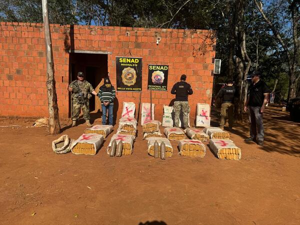 Destruyen 1,631 kilos de marihuana prensada en Sargento José Félix López