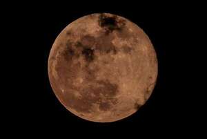 Luna de fresa: ¿cuánto puede costar un buen telescopio para verla en detalle? - Ciencia - ABC Color