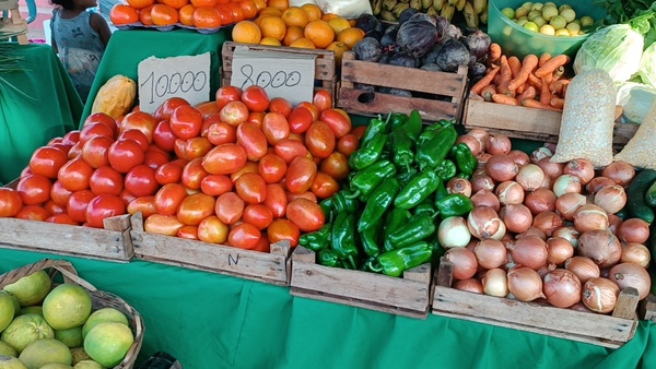 Importante Baja en los Precios del Tomate y Locote Nacional