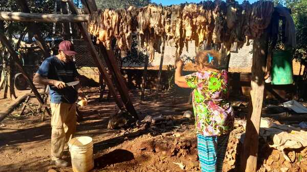 Una familia se ingenia para procesar sebo y generar ingresos en Misiones
