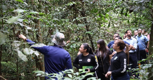 La Nación / Taller sobre legislación ambiental abordó hechos punibles sobre el medio ambiente