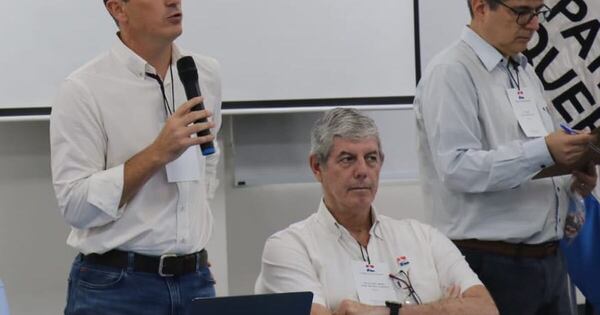 La Nación / Patria Querida conforma estructura con miras a las municipales del 2026