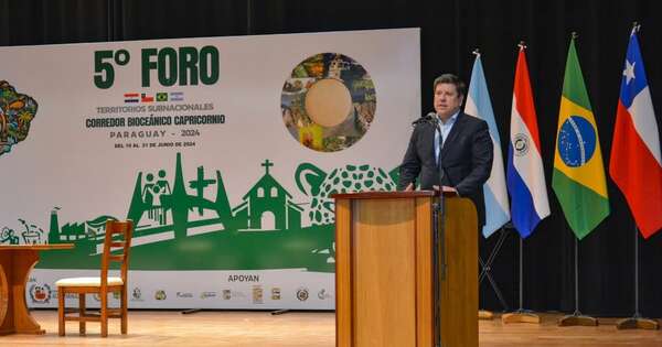 La Nación / Gasoducto en el Chaco será clave para atraer inversiones y diversificar matriz energética