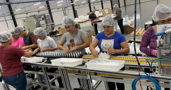 La Nación / Hernandarias adquiere nuevo impulso industrial con proyectos en ejecución