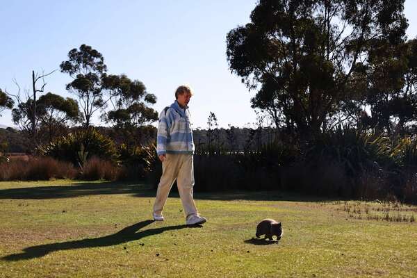 Turismo en Tasmania: paseante de wombats o guía paranormal, los empleos raros que ofrecen en Australia - Viajes - ABC Color