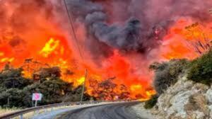 Catorce muertos y decenas de heridos por los incendios forestales en Turquía