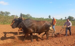 El ministro Carlos Giménez participó del lanzamiento de la Campaña Cultivo de Papa en La Colmena, Paraguarí