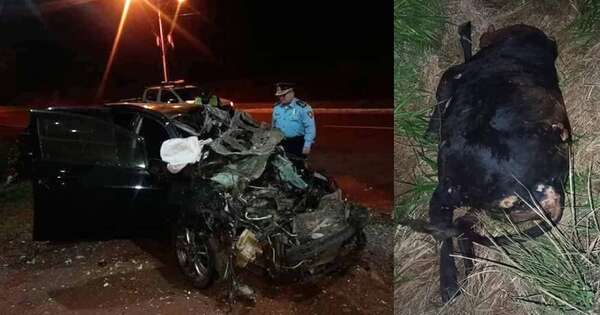 Diario HOY | Vaca suelta ocasiona terrible accidente fatal: hay tres fallecidos