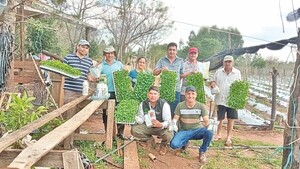 Solidaridad permite capear temporal y ausencia estatal