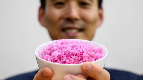 Arroz carnoso, la creación para reemplazar la carne vacuna