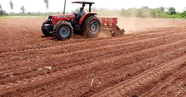 La Nación / Recuperar y nutrir el suelo, vital ante arribo de La Niña