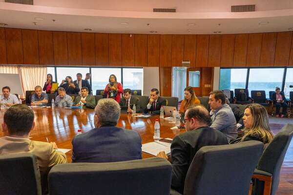 Diputados consideran válida propuesta de acuerdo de Clyfsa con la ANDE - Economía - ABC Color