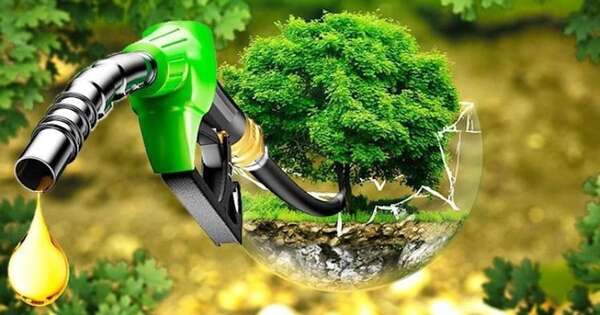 La Nación / Biocombustibles: industria que crece con un futuro prometedor