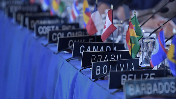 Piden que Paraguay no obstruya temas como ideología de género y DDHH en Asamblea de la OEA - Megacadena - Diario Digital