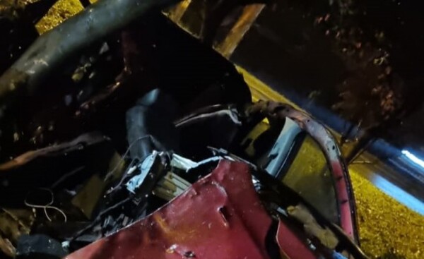 Hombre está en grave estado tras chocar contra un árbol