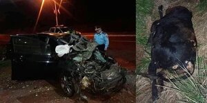 Vaca suelta ocasiona terrible accidente fatal: hay tres fallecidos