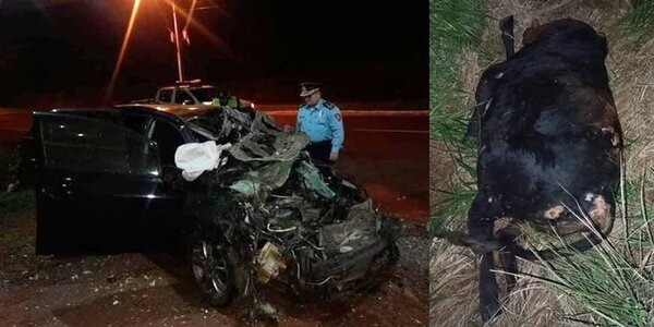 Vaca suelta ocasiona terrible accidente fatal: hay tres fallecidos