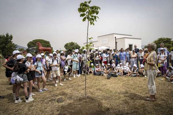 Pompeya enseñará arqueología, vulcanología e historia a los niños con un museo - Viajes - ABC Color