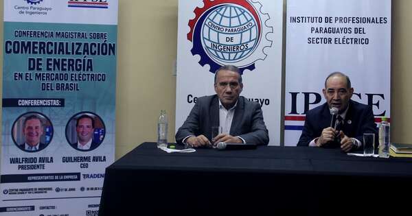 La Nación / Capacitarán sobre la comercialización de energía al Brasil
