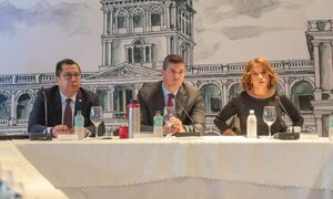 Gabinete Social evalúa trabajos mediante mesas de protección social instalados en distritos priorizados