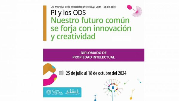 Inscripciones habilitadas para el diplomado virtual en PI