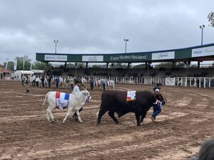 Seguimos creciendo con las exportaciones de carne a Taiwán