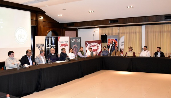 ESPERAN SUPERAR GS. 15.000 MILLONES EN LOS REMATES GANADEROS DE LA EXPO 2024