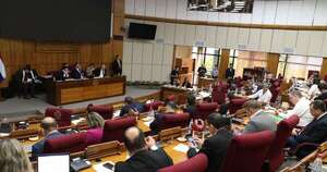 La Nación / Comisión del Senado avanza con estudio sobre proyecto de control a las ONG