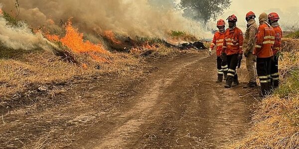 Brasil: decretan emergencia por incendios en estado fronterizo con Paraguay