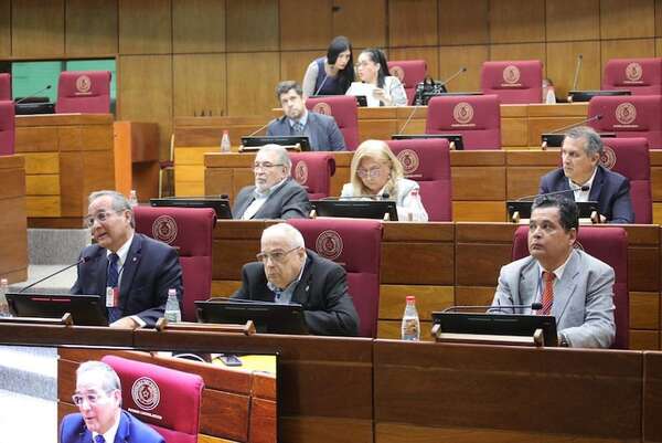 Varias ONG advierten que el proyecto cartista es inconstitucional y dictatorial - Política - ABC Color