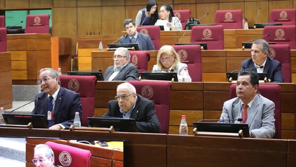 Para oenegés, el proyecto de Bachi es inconstitucional y dictatorial