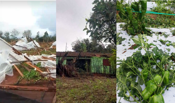 Tormenta destruye viviendas y cultivos a su paso por Mallorquín y O’Leary - La Clave