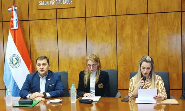 Pedirán informes antes de dictaminar propuesta que busca ampliar beneficios de la ley de pensión para adultos mayores