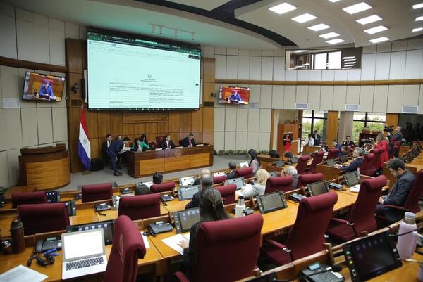 Ley de control a las ONG: “Todos están de acuerdo con el control de los gastos provenientes del Estado” - Nacionales - ABC Color